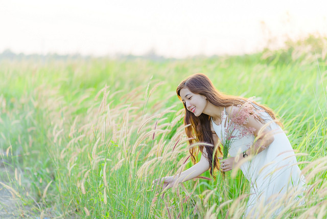 Tổng hợp Preset màu đẹp Camera Raw  Lightroom VIP  Dương Cường Camera