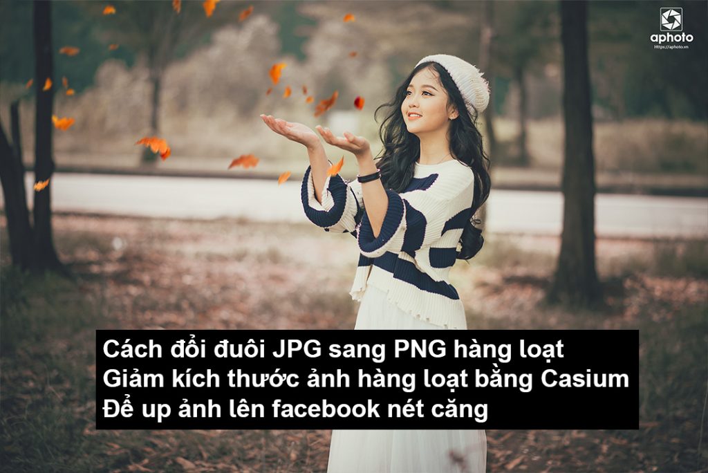 Chia sẻ phần mềm nén ảnh, đổi đuôi JPG sang PNG và resize ảnh hàng loạt ...