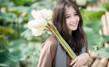 Chiêm ngưỡng bộ ảnh chụp sen đẹp ngất ngây của nhiếp ảnh gia Lương Minh Quang