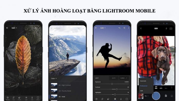 Xử lý ảnh hàng lọat bằng Lightroom