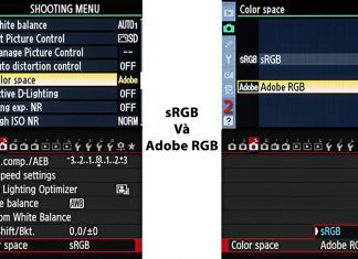 Nên thiết lập sRGB hay Adobe RGB
