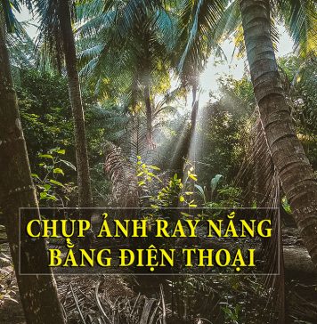 Cách chụp ảnh ray nắng đẹp bằng một chiếc điện thoại