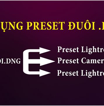 Cách sử dụng dụng preset đuôi DNG cho Lightroom, Camera Raw và Lightroom Mobile