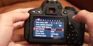 Cách sử dụng máy ảnh DSLR Canon cơ bản nhất cho người mới bắt đầu