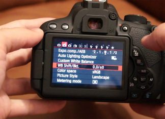 Cách sử dụng máy ảnh DSLR Canon cơ bản nhất cho người mới bắt đầu