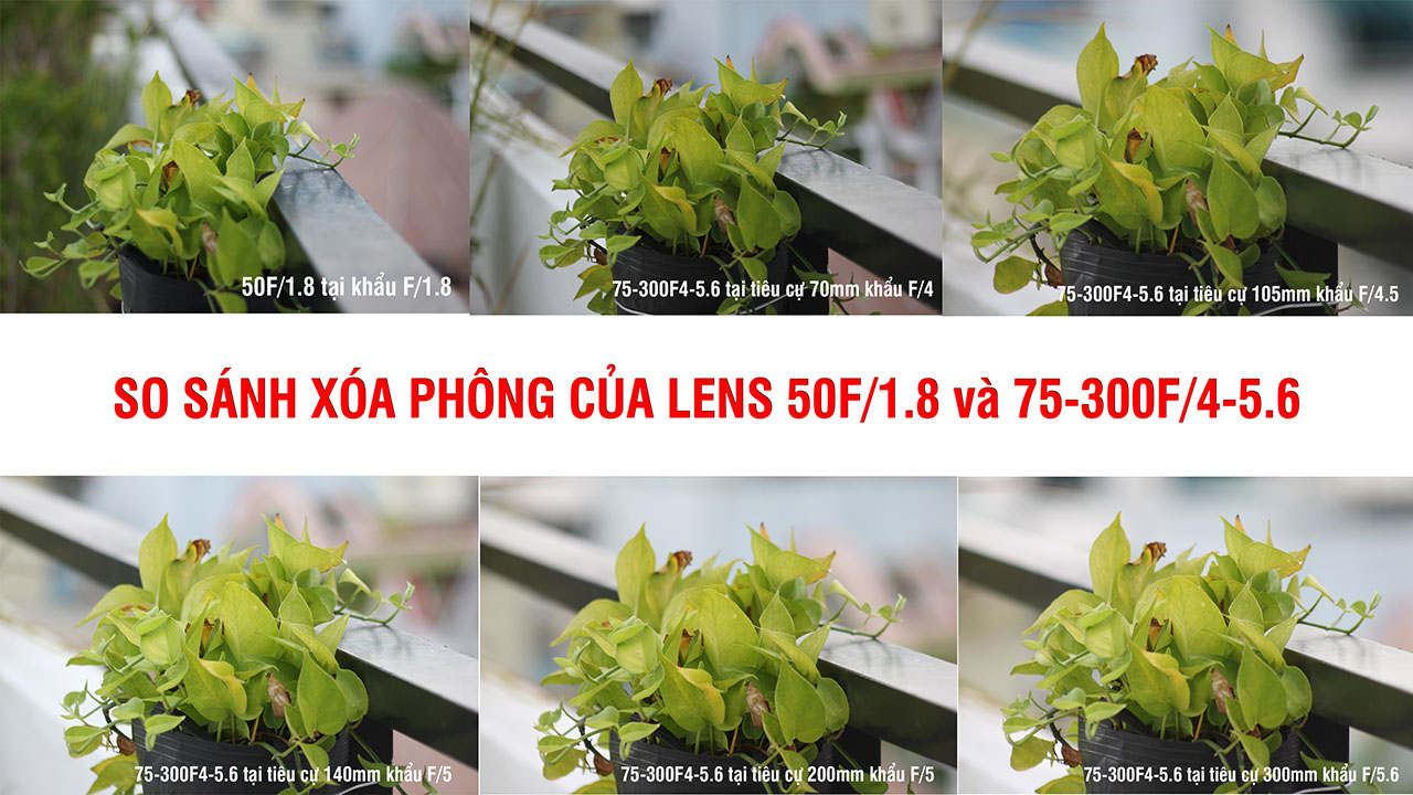 Độ xóa phông sẽ mang đến những bức ảnh của bạn với độ sắc nét cao và đầy cuốn hút. Điều này sẽ giúp cho những bức ảnh của bạn cá nhân hóa hơn và trở nên độc đáo hơn nhờ cách tinh chỉnh chi tiết, giúp kit tạo ra những tác phẩm nghệ thuật đầy chất thơ mộng.