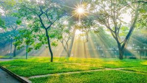 Khoá học Chụp hình điện thoại