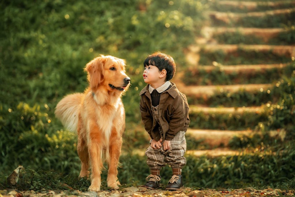 Tuổi thơ hạnh phúc - Quý NP