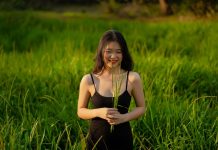 Nắng chiều nơi đồng xanh - Thương
