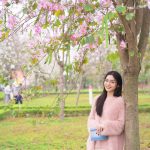 Mùa hoa ban nở – Hùng Văn Nguyễn