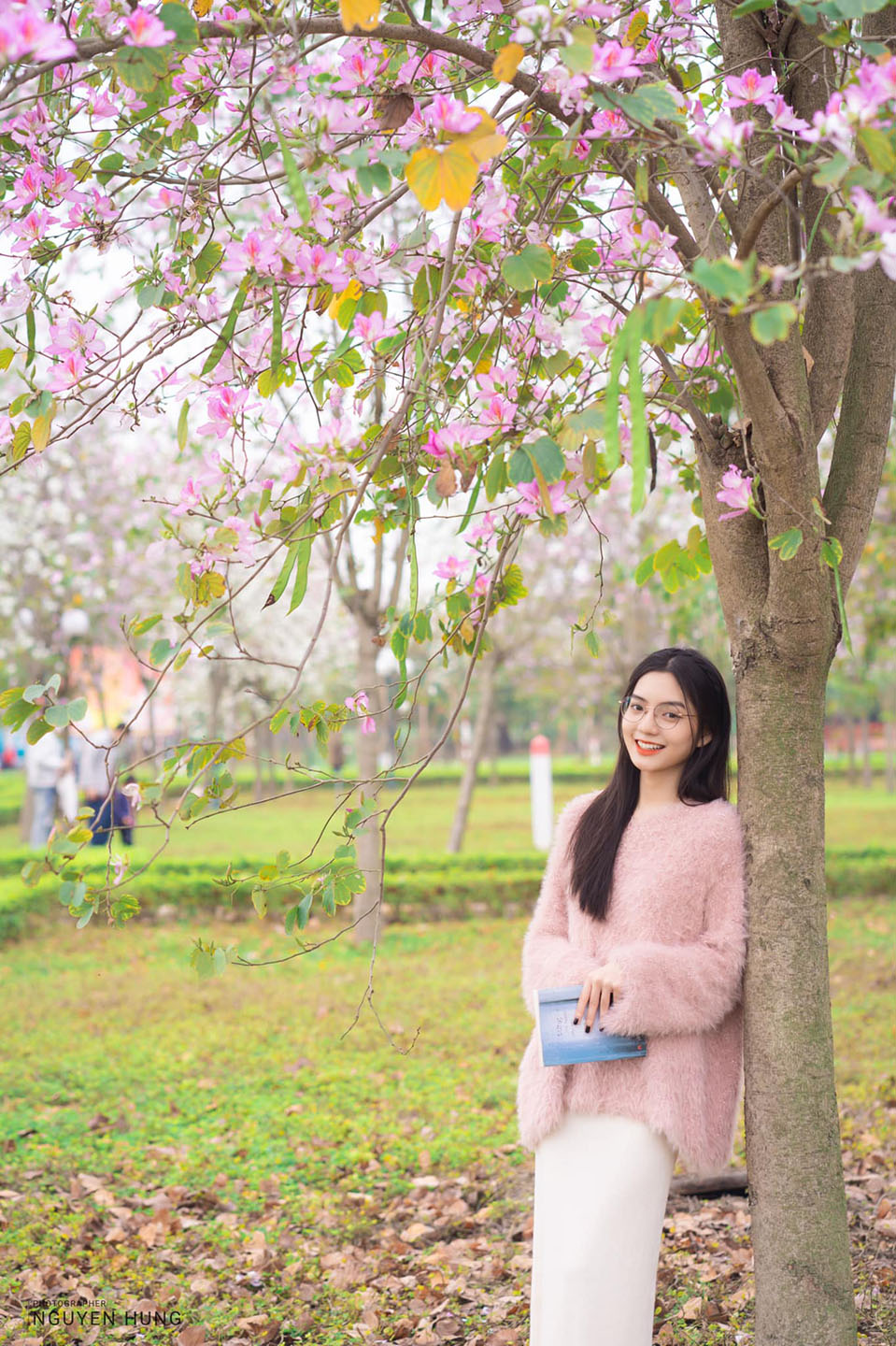 Mùa hoa ban nở - Hùng Văn Nguyễn