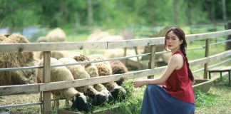 Cô bé chăn cừu