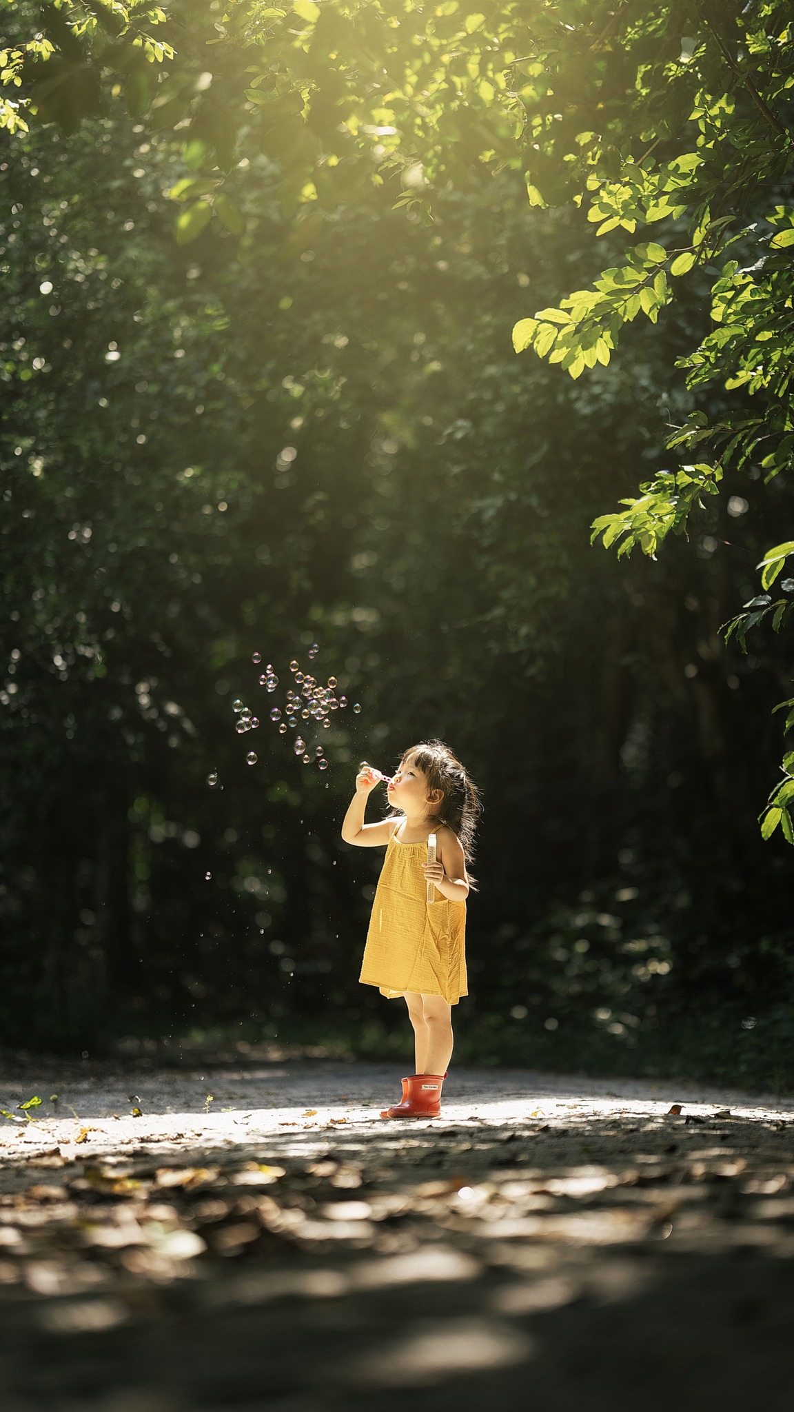 Con gái trong rừng - Bình Lê