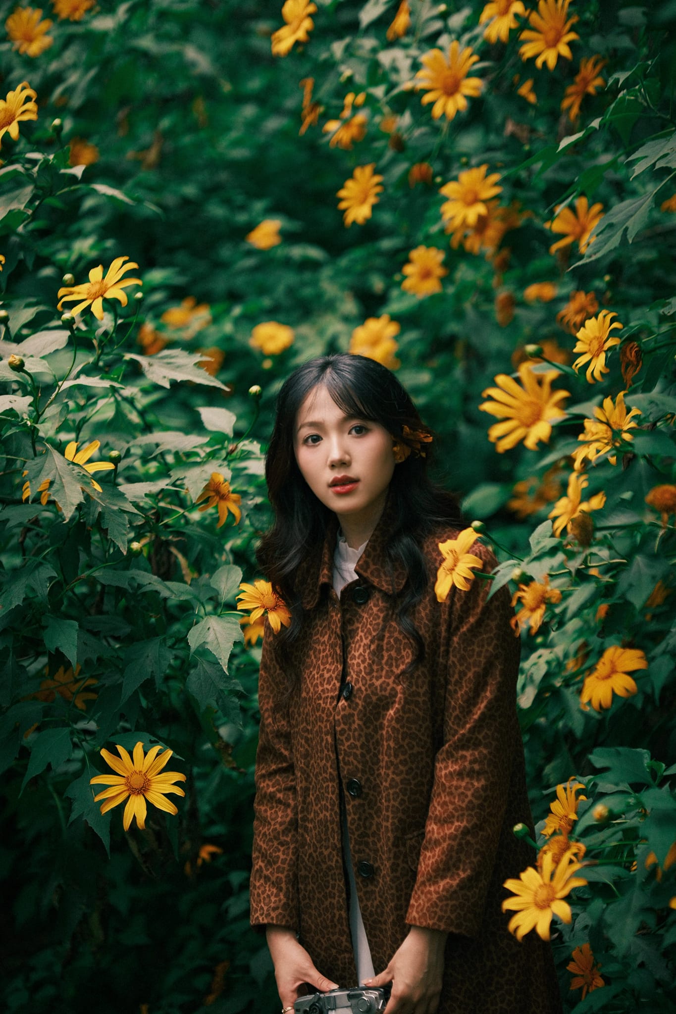 Dã Quỳ - Nguyễn Gia Thuận