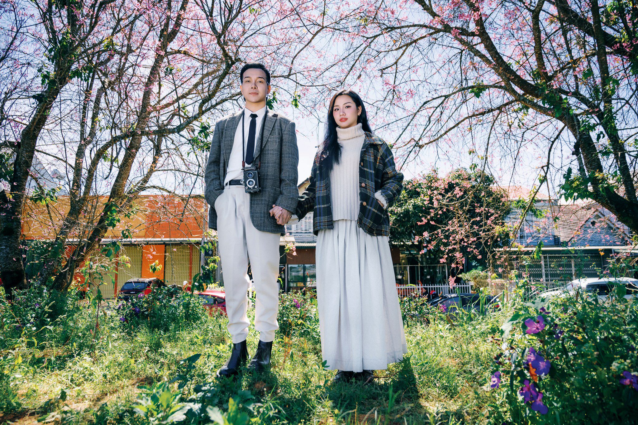 Anh đào - Cristi Thương