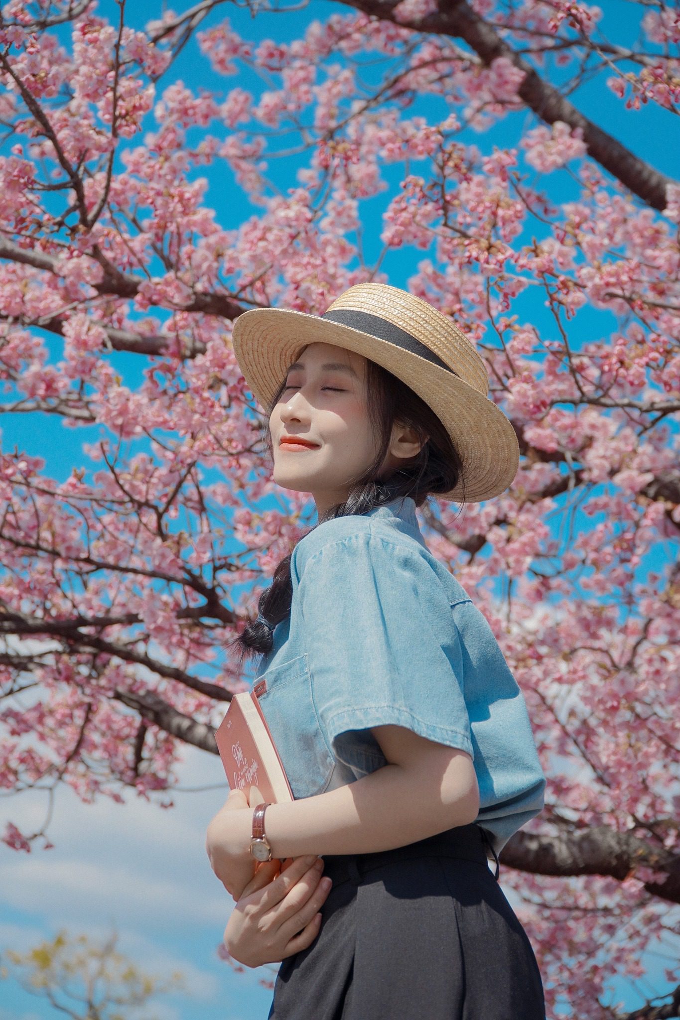 Hoa đào - Phan Quốc Nhật