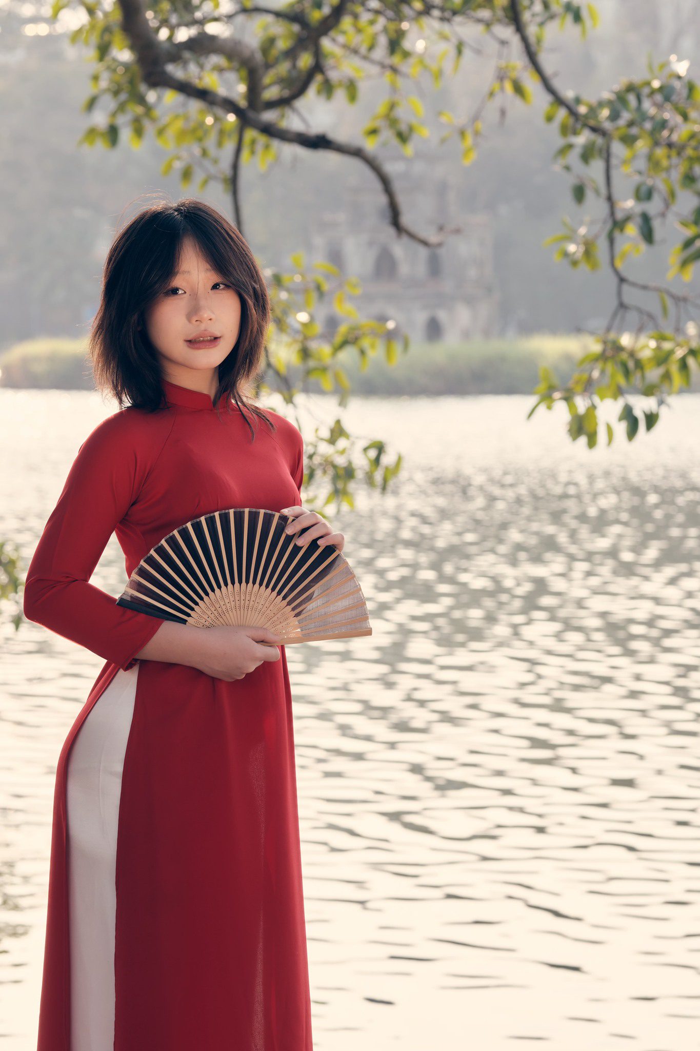 Một chiều nắng cuối đông - Vũ Tiến Dũng