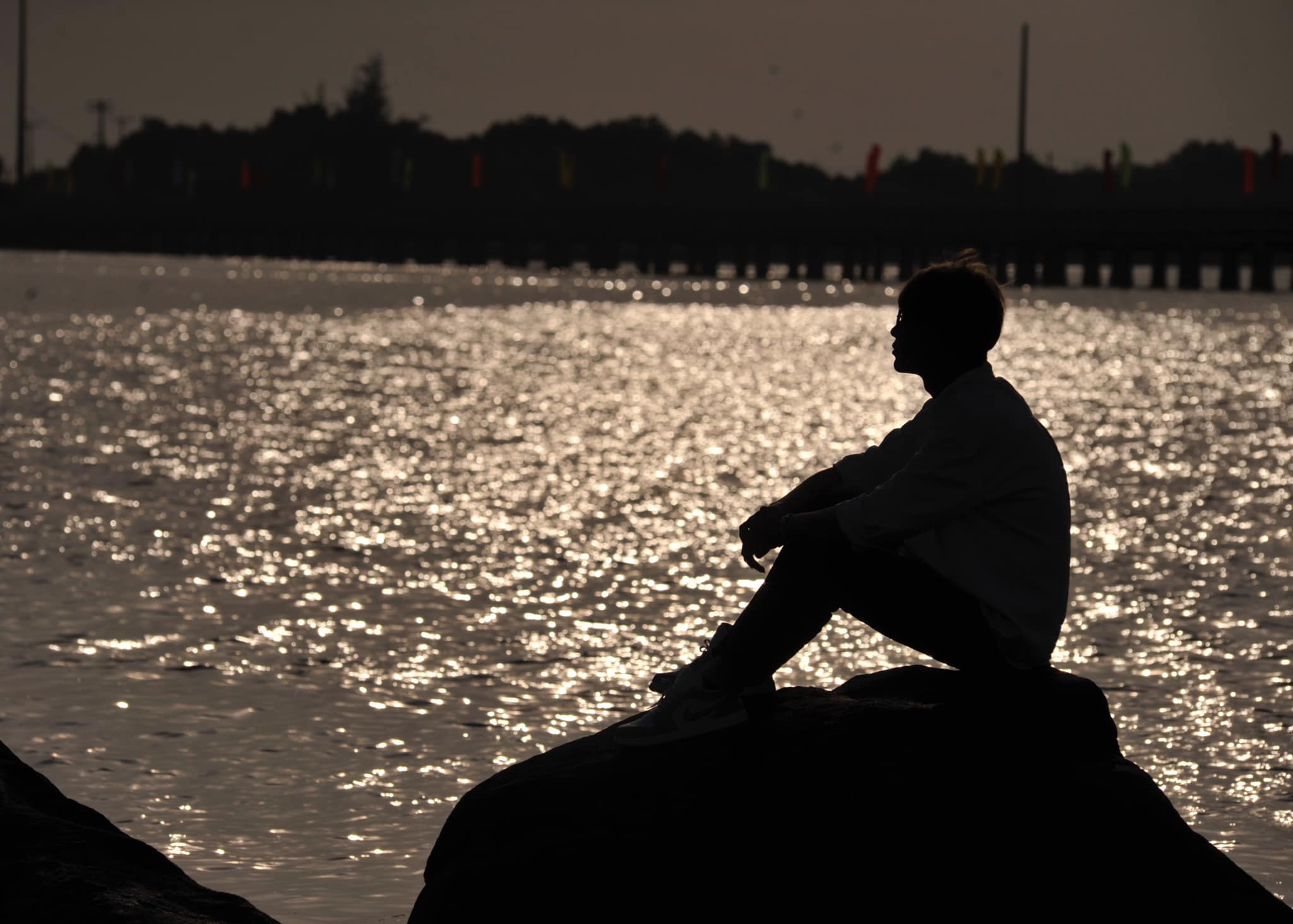 Ngày lang thang - Quốc Sự