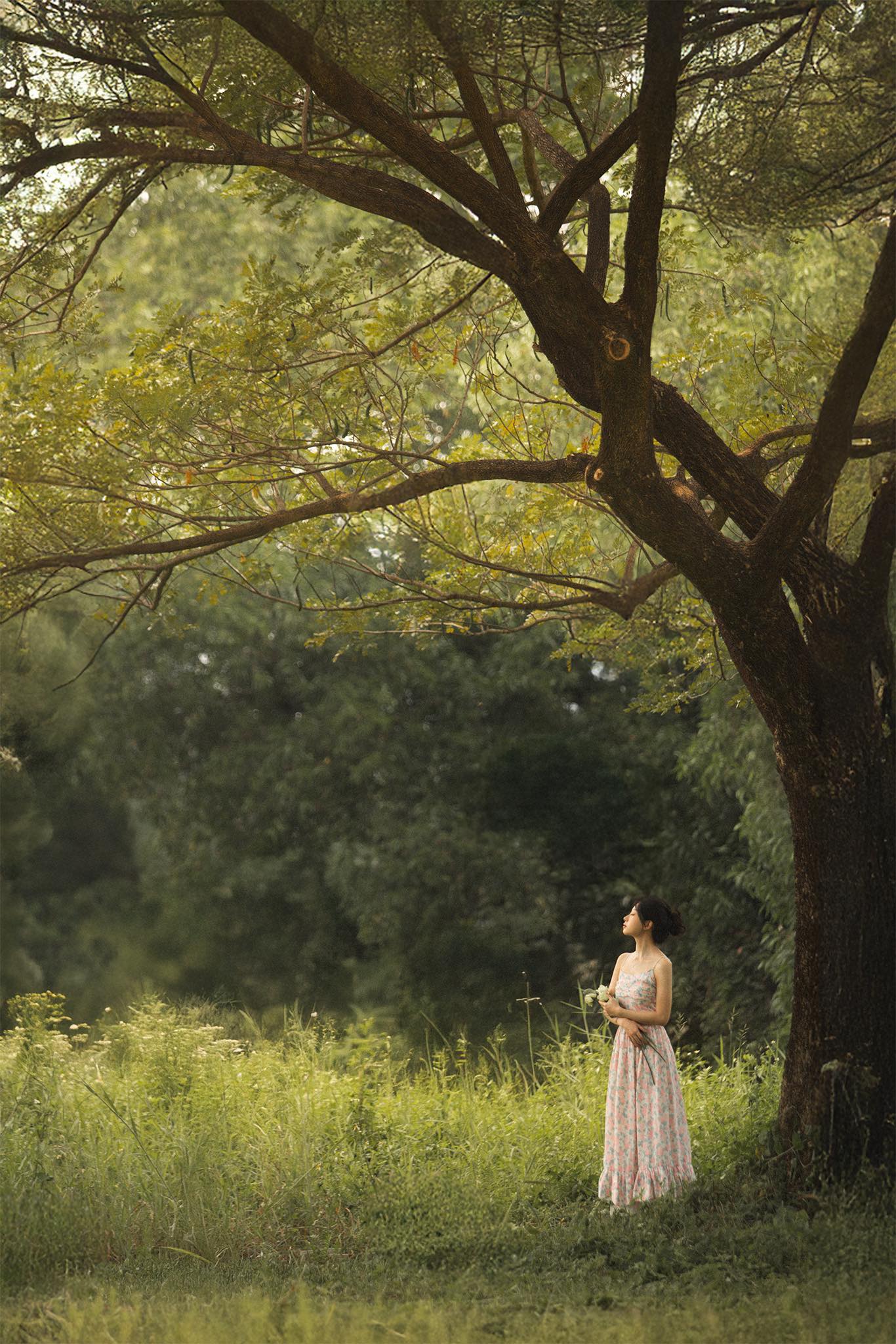 Em dưới bóng cây - Photo Khoa - Model Thanh Cao