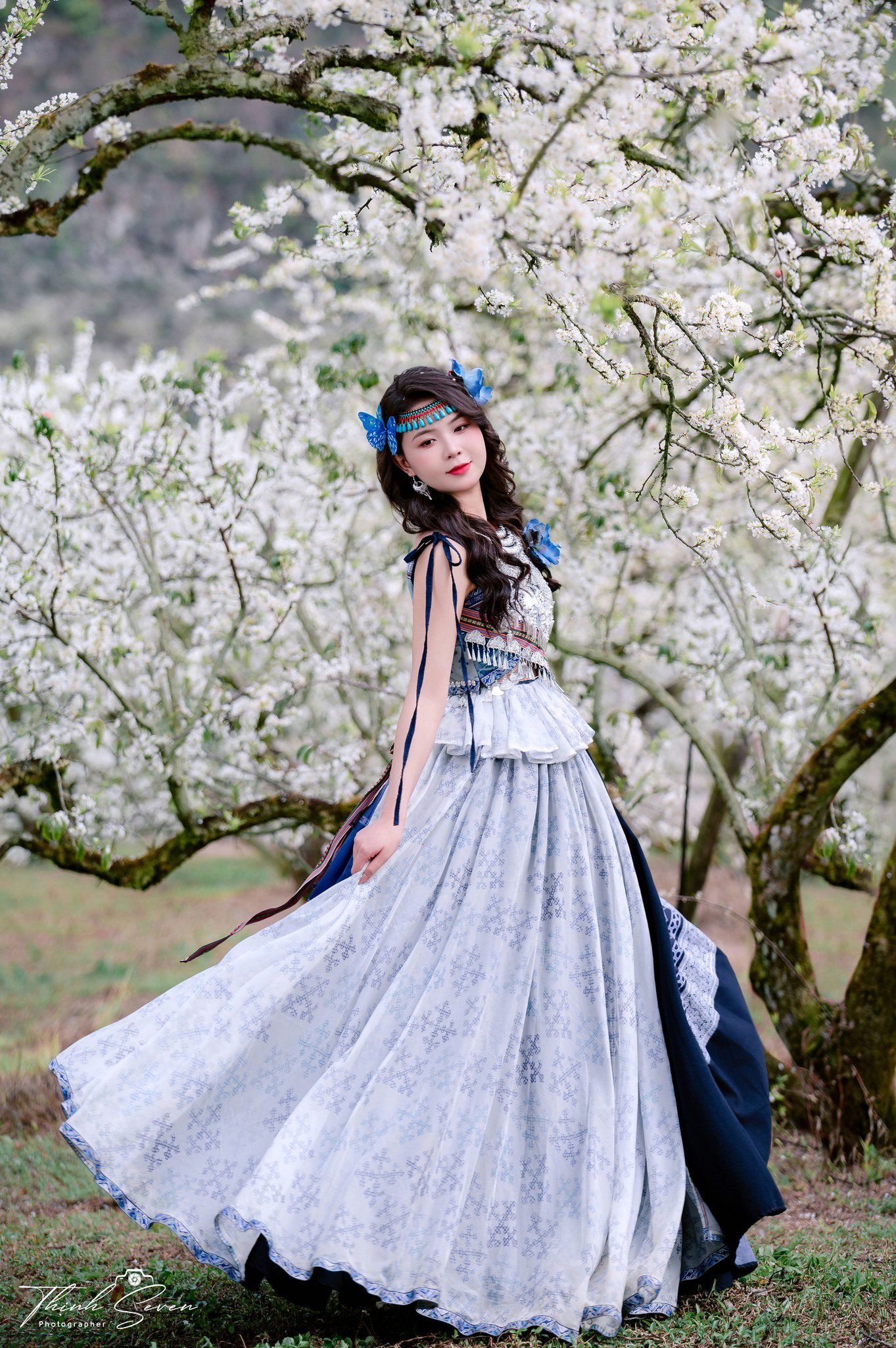 Hoa mận Mộc Châu - Thịnh Seven