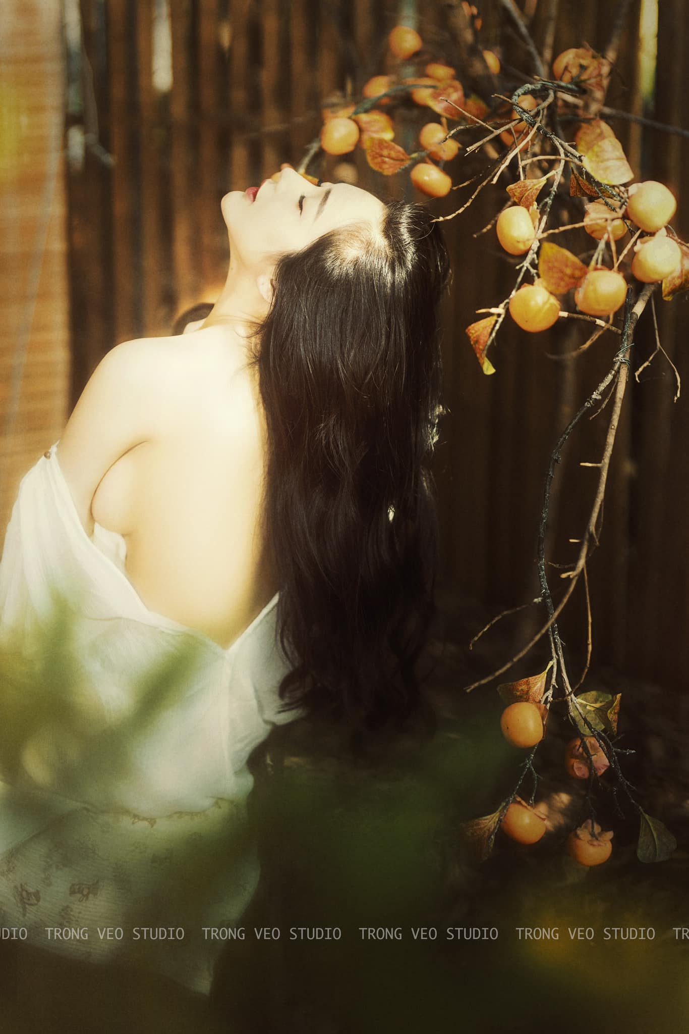 Yêu em suốt kiếp - Trương Nghĩa